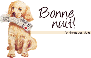 Bonne nuit mes ami(e)
